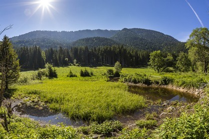ENS de l'Isère, Marais des Seiglières