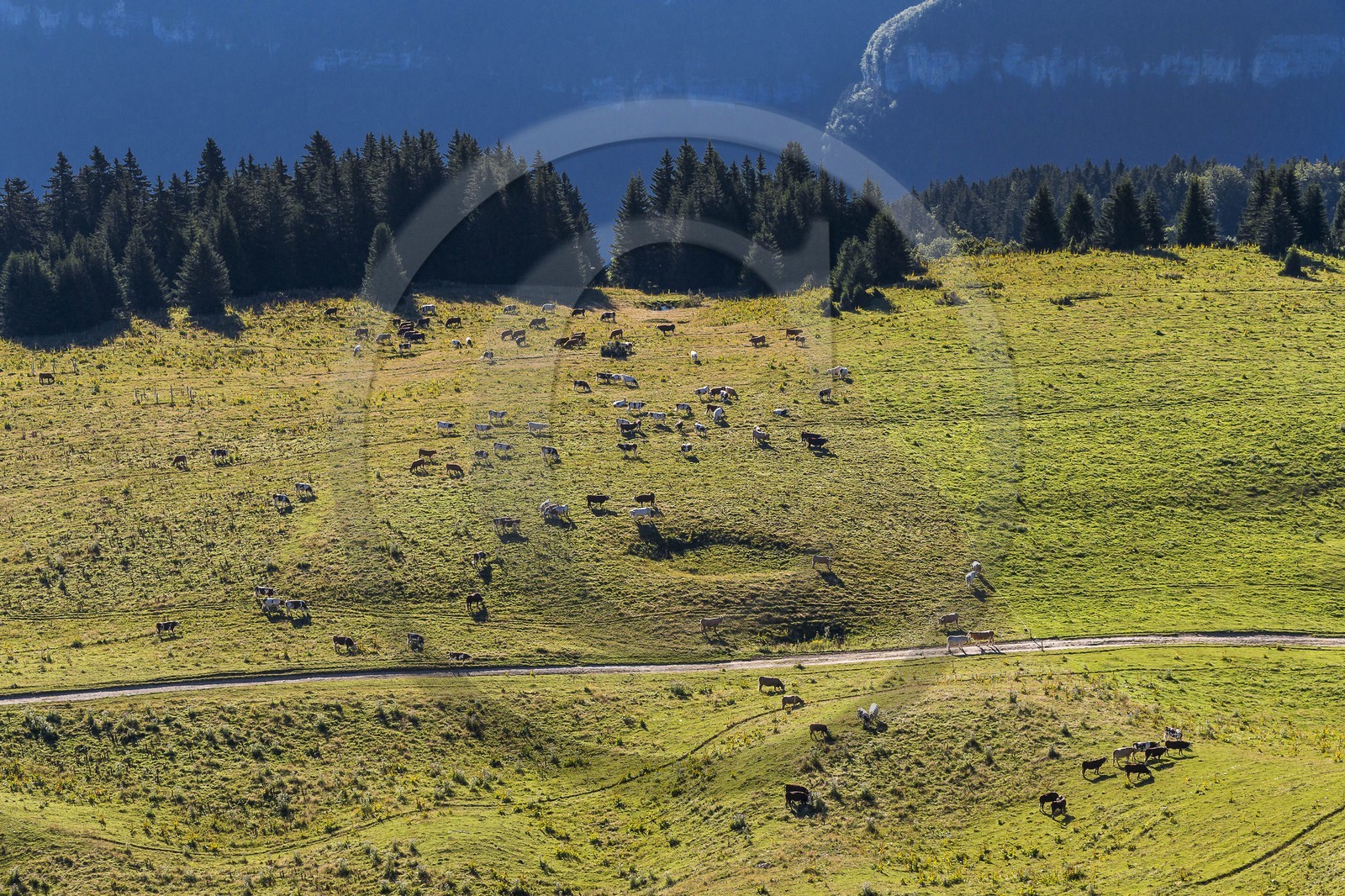 ENS de l'Isère, Plateau de la Molière et du Sornin