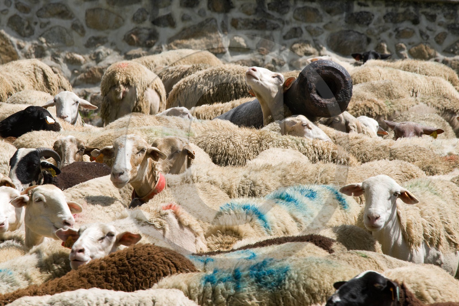 Mont-Louis,  Mont-Louis, Fortifications Vauban inscrites au patrimoine mondial de l'humanité