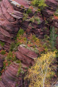 Gorges de Daluis