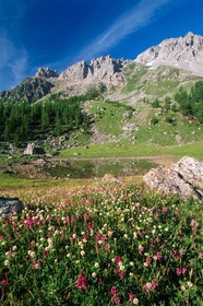lac des Partias