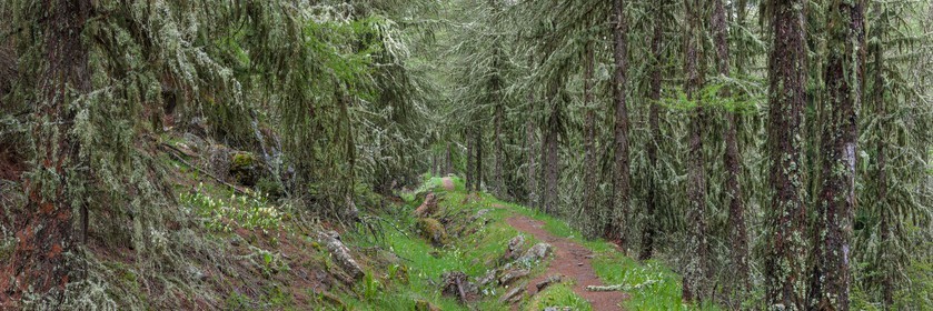Vallée du Champsaur, sentier du Canal de Mal-Cros