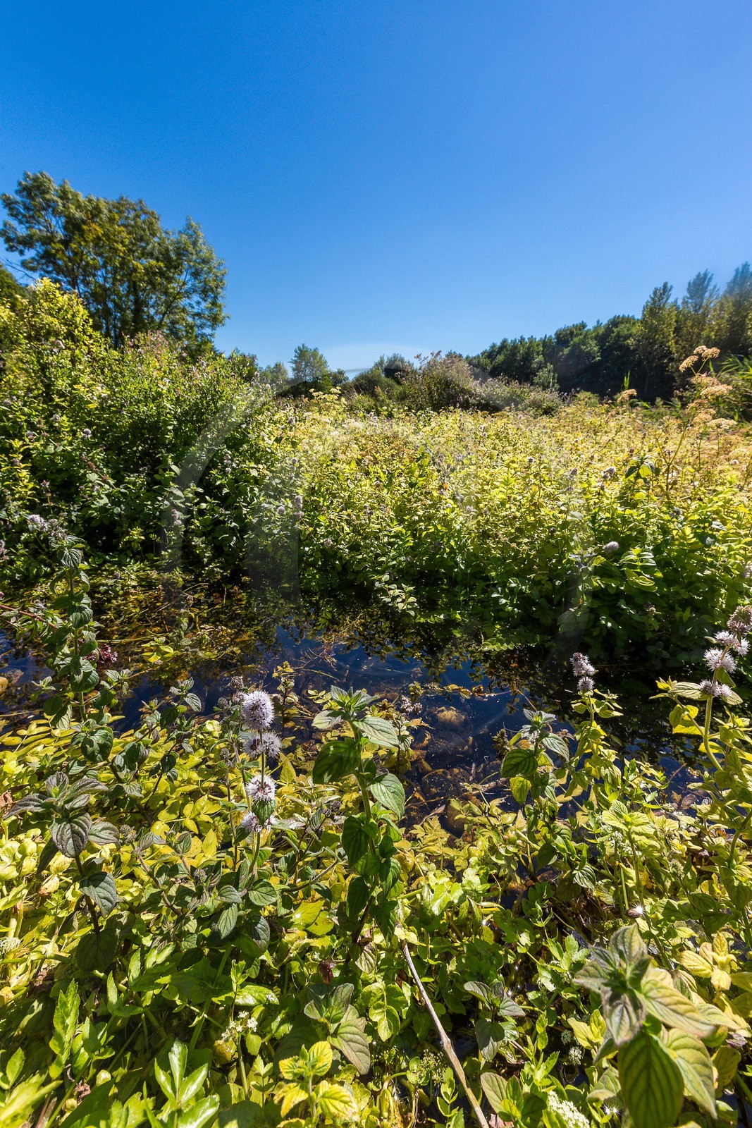 ENS de l'Isère, Les Fontaines de Beaufort