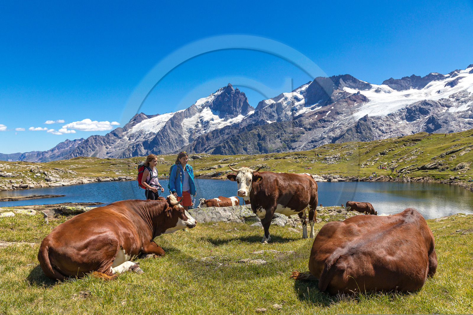 Plateau d'Emparis, randonnée pédestre
