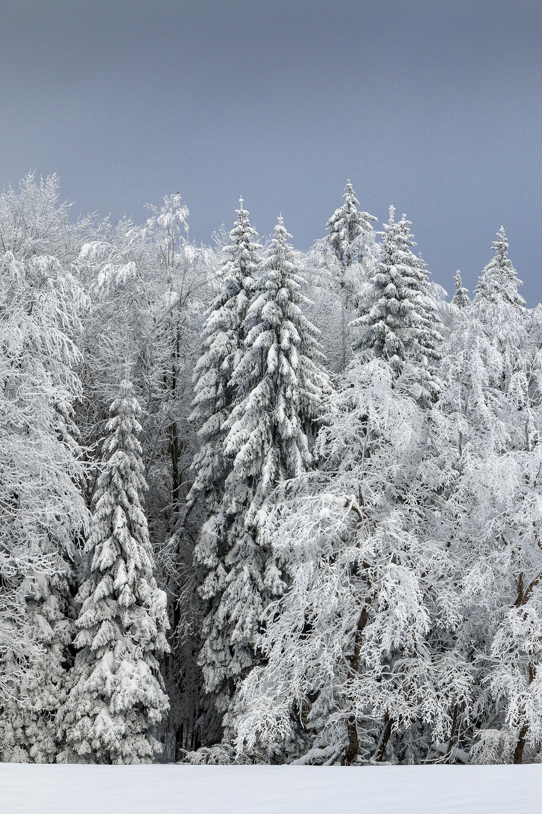 ENS de l'Isère, Les Ecouges