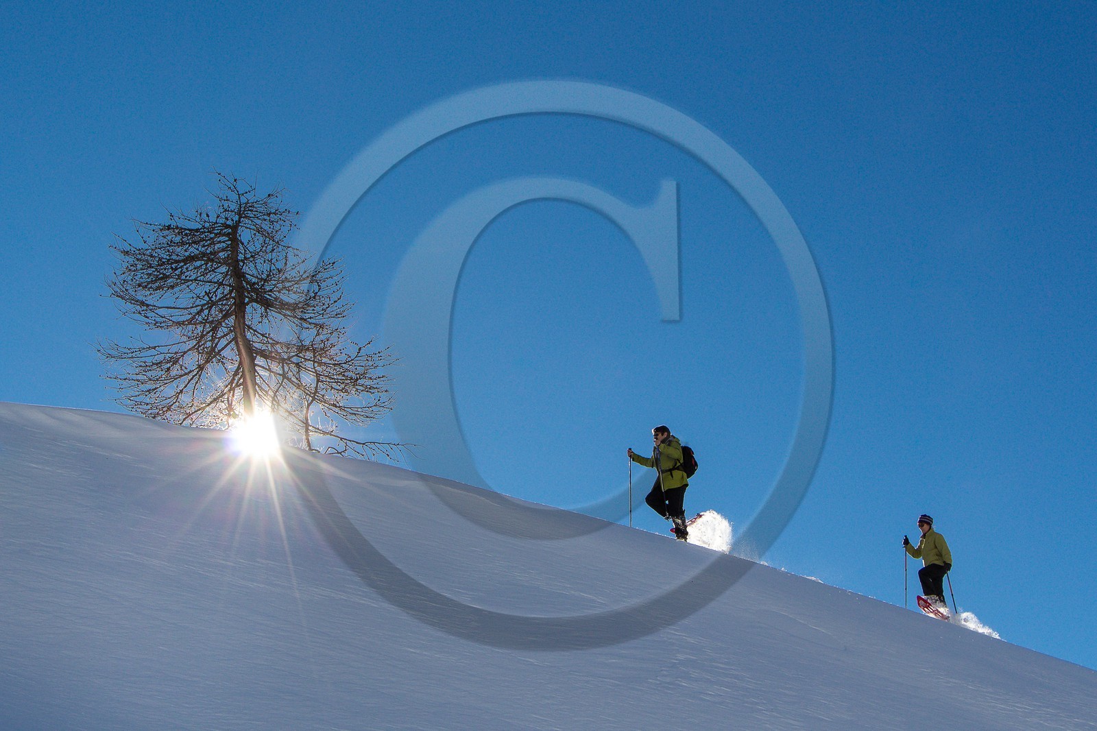 Col de Larche, vallon du lauzanier, randonnée raquettes