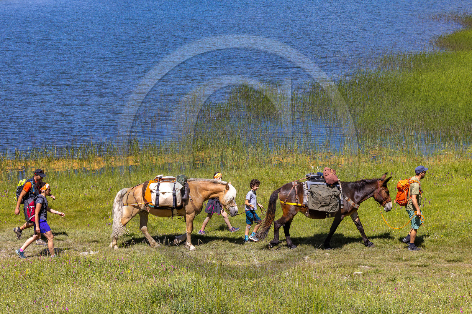 Trek famille avec animaux de bats