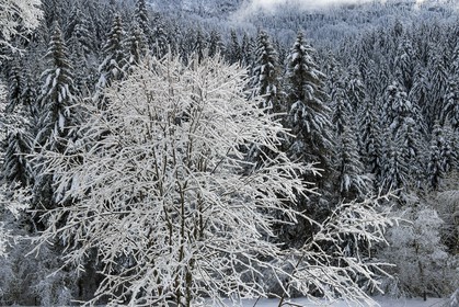 ENS de l'Isère, Les Ecouges