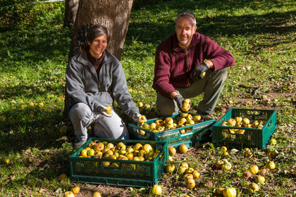 Etablissement Gayral, producteur de jus
