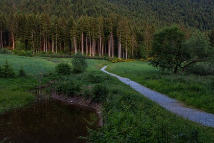 ENS de l'Isère, Marais des Seiglières