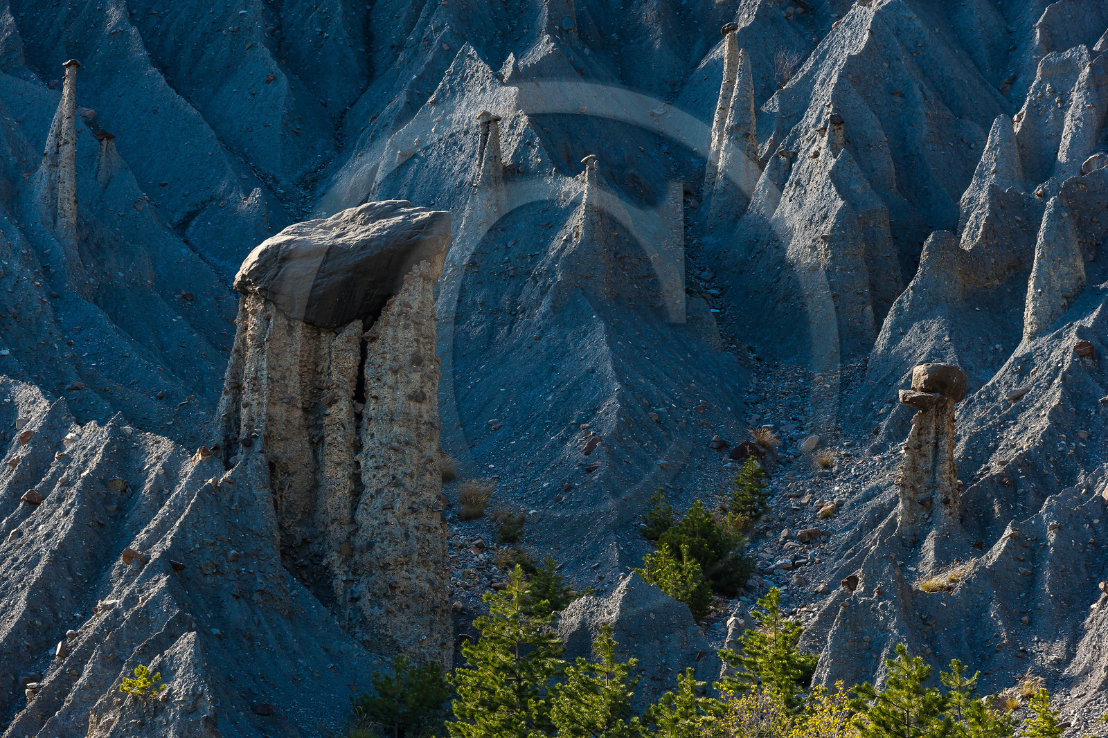 Salle de Bal des Demoiselles Coiffées