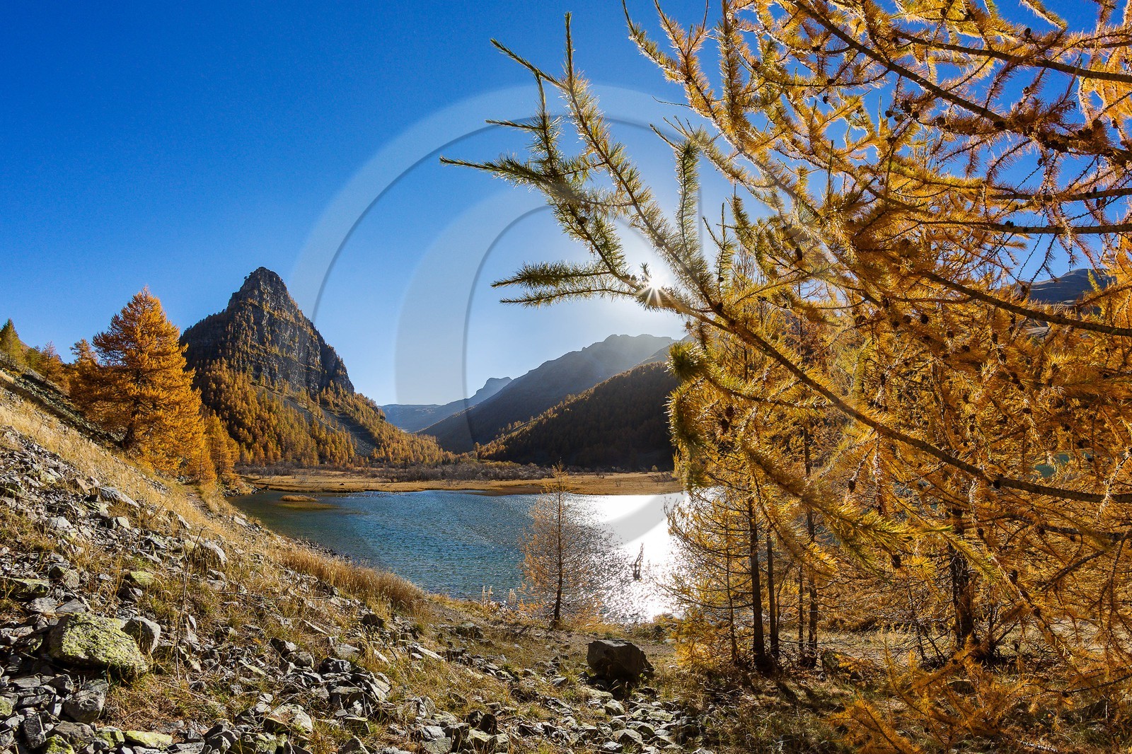 Jausiers, Lac des Sagnes et forêt de mélèzes à l'automne