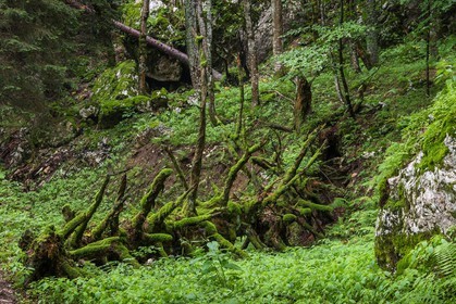 ENS de l'Isère, Les Ecouges