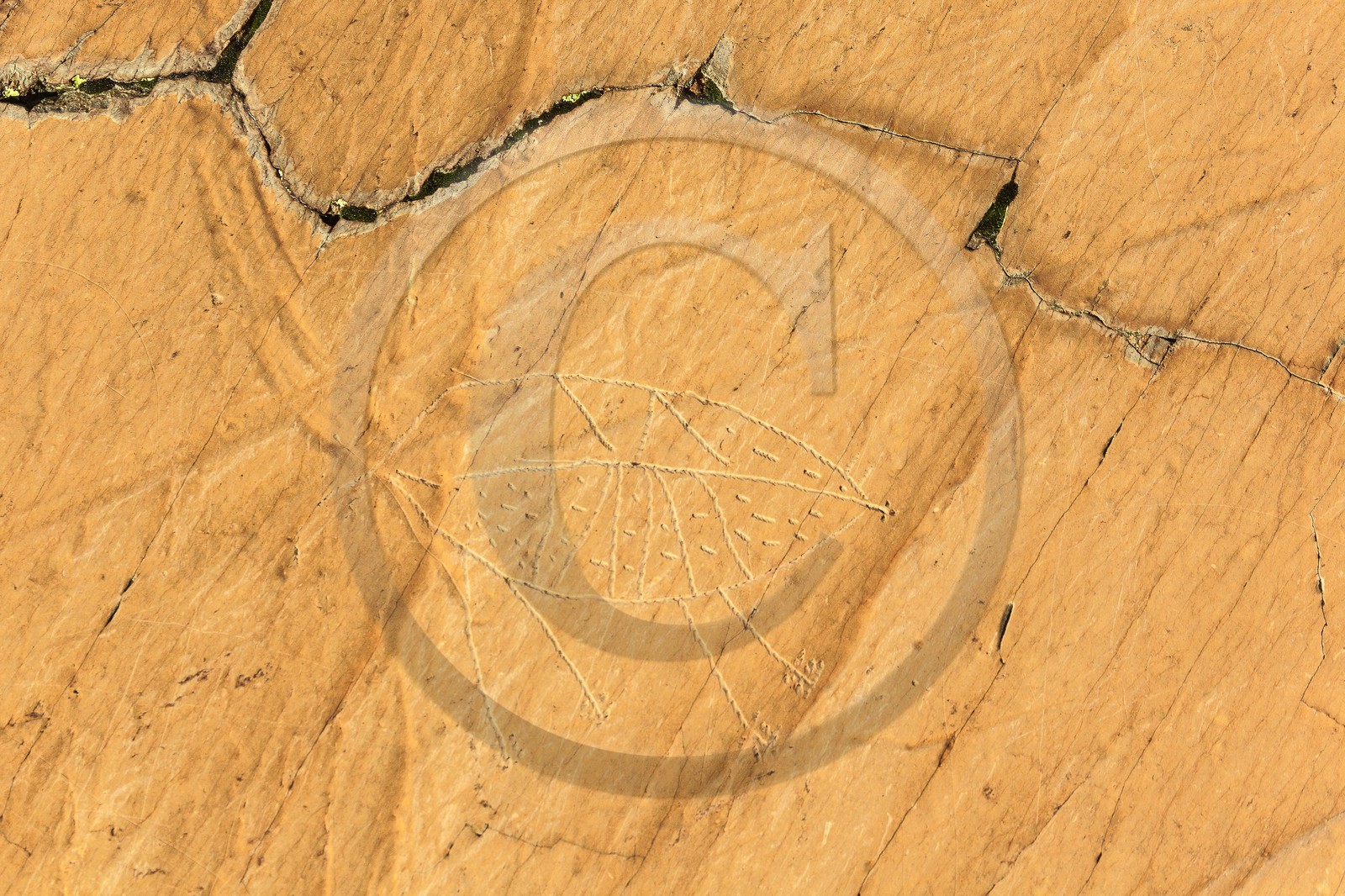 Vallée des Merveilles, gravures rupestres