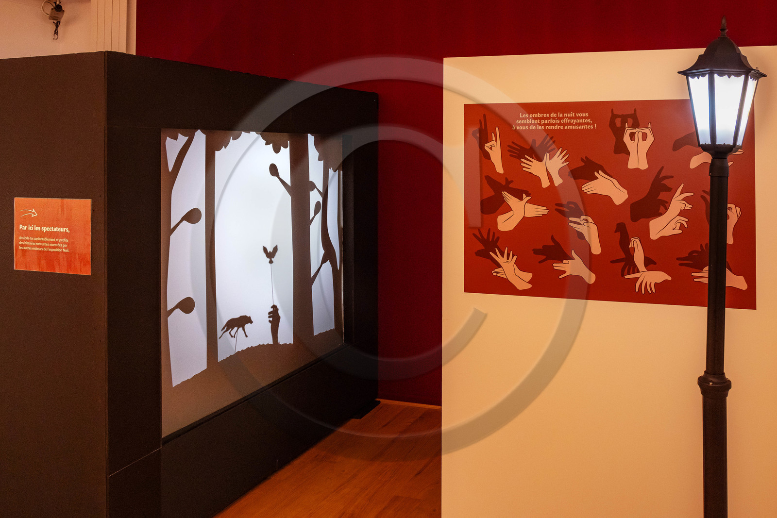 Musée Muséum départemental des Hautes-Alpes, Exposition Nuit