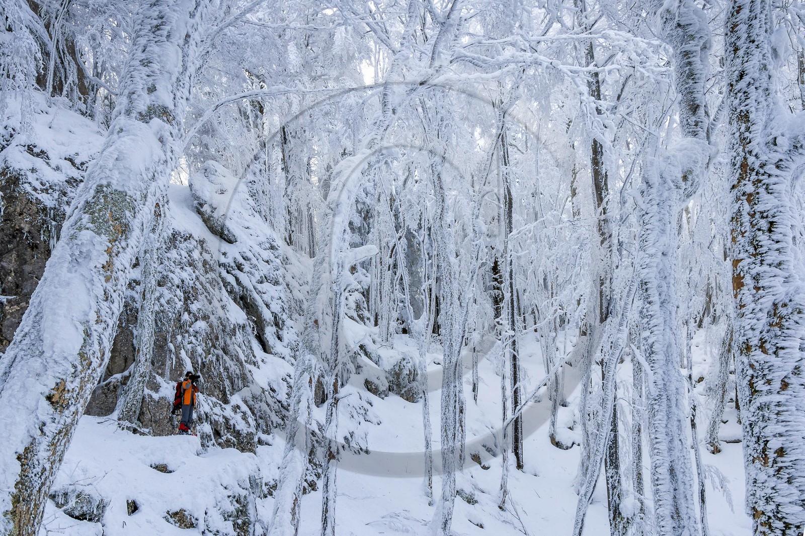 ENS de l'Isère, Les Ecouges