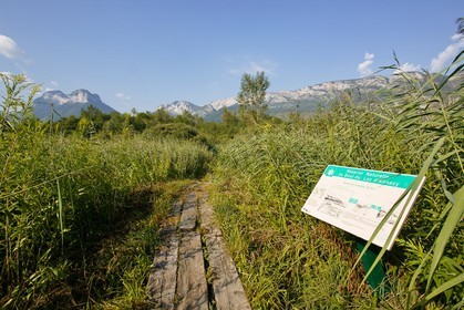 Réserve naturelle du Bout du Lac d'Annecy