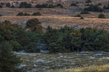 Caussols,