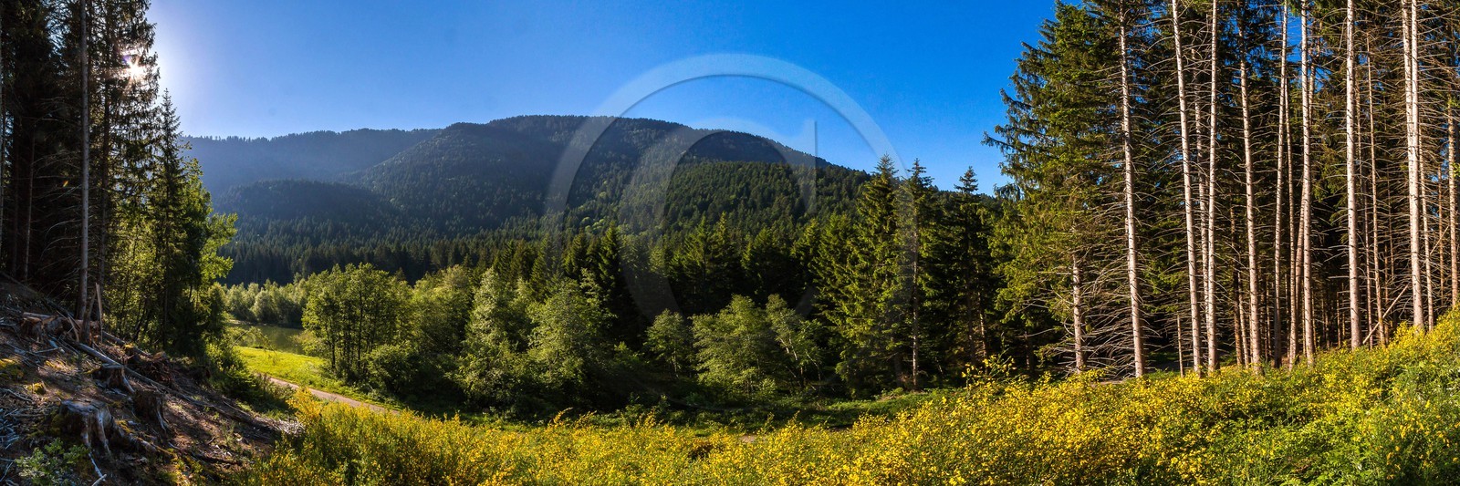 ENS de l'Isère, Marais des Seiglières