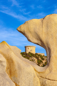 Tour génoise de Campomoro et taffoni