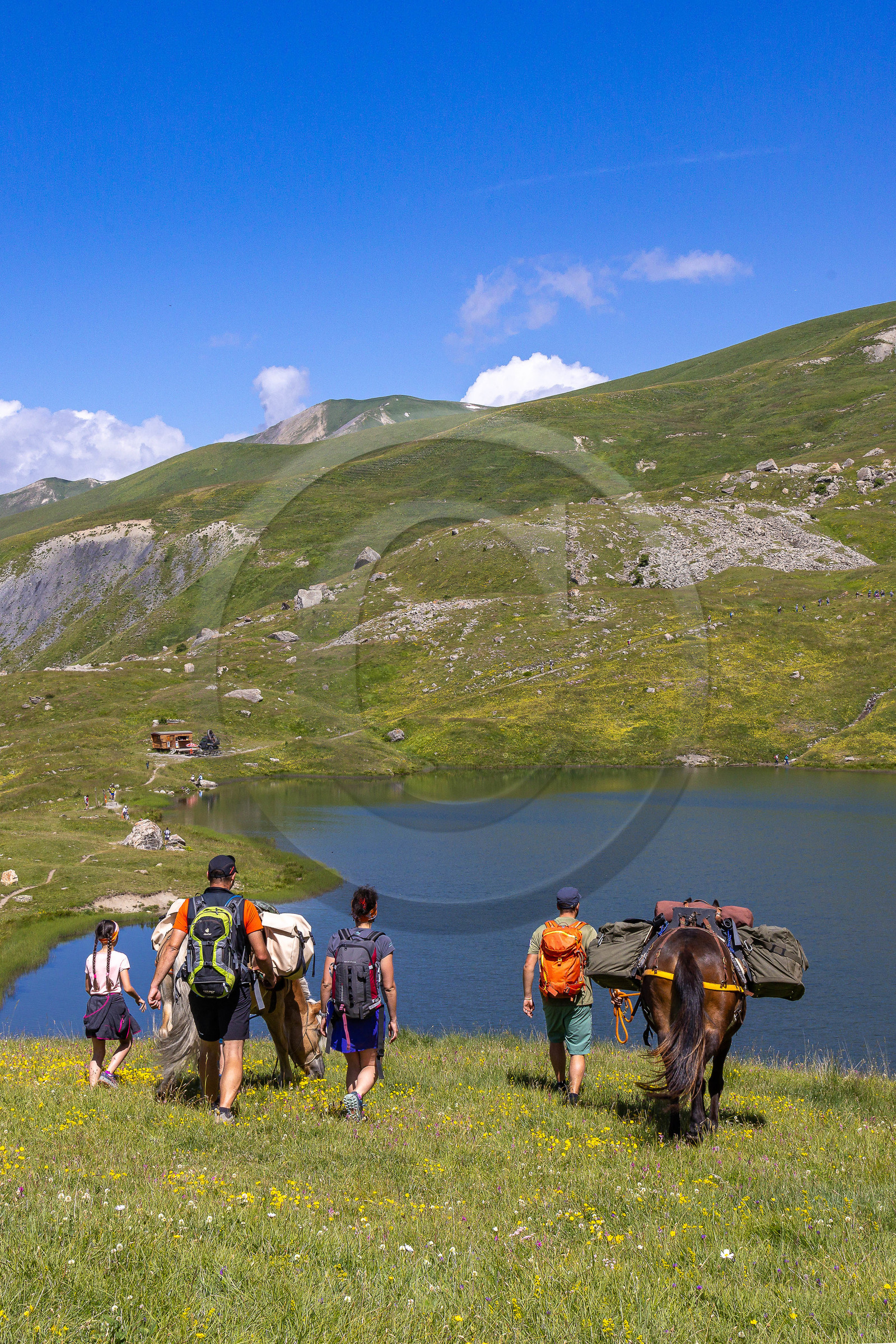 Trek famille avec animaux de bats