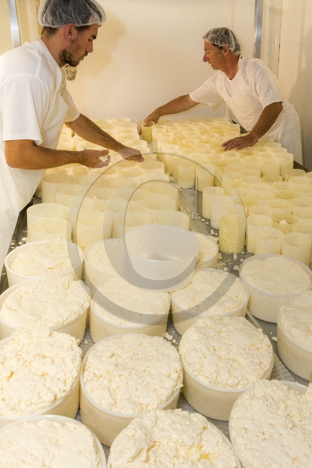 Vallée du Champsaur, fromagerie Ebrard