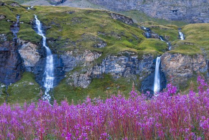 cascade du Vallon et épilobes en épis