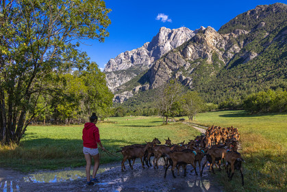 Gaec La Ferme des Ecrins