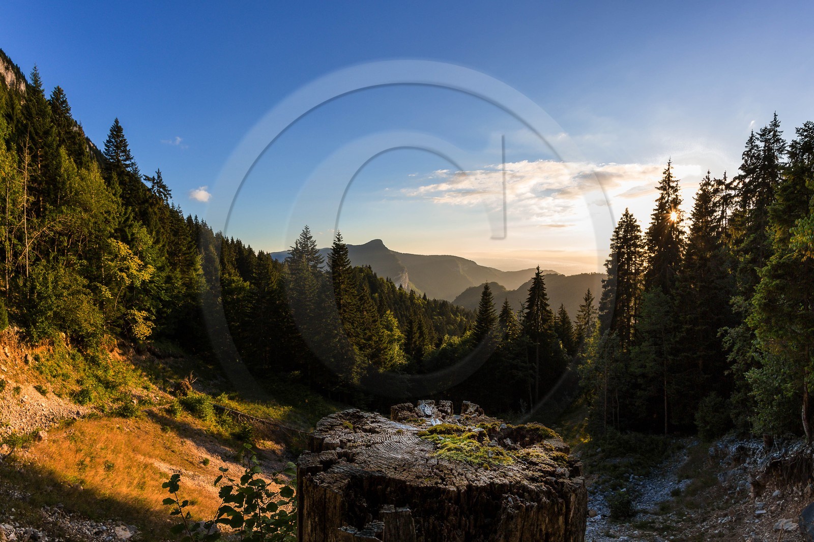 ENS de l'Isère, Les Ecouges