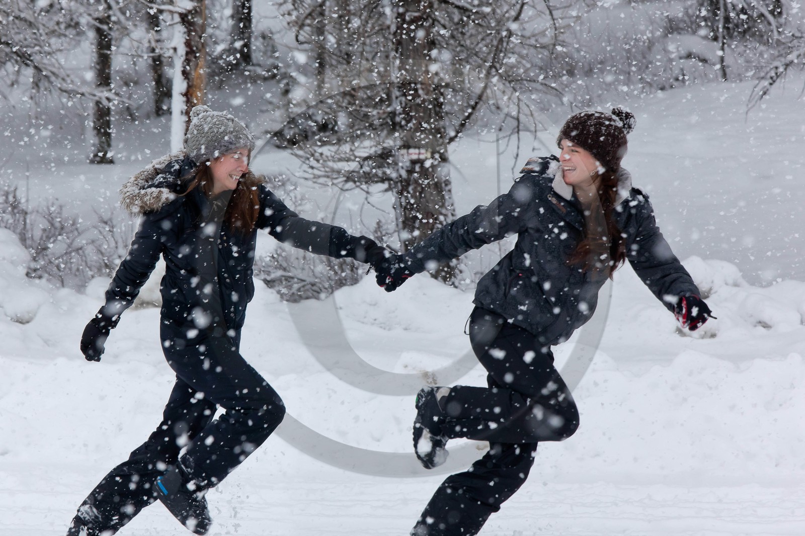 Hiver, randonnée balade sous la neige