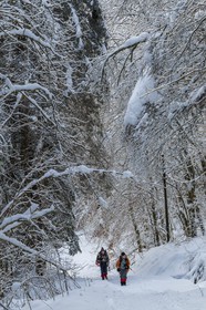 ENS de l'Isère, Les Ecouges