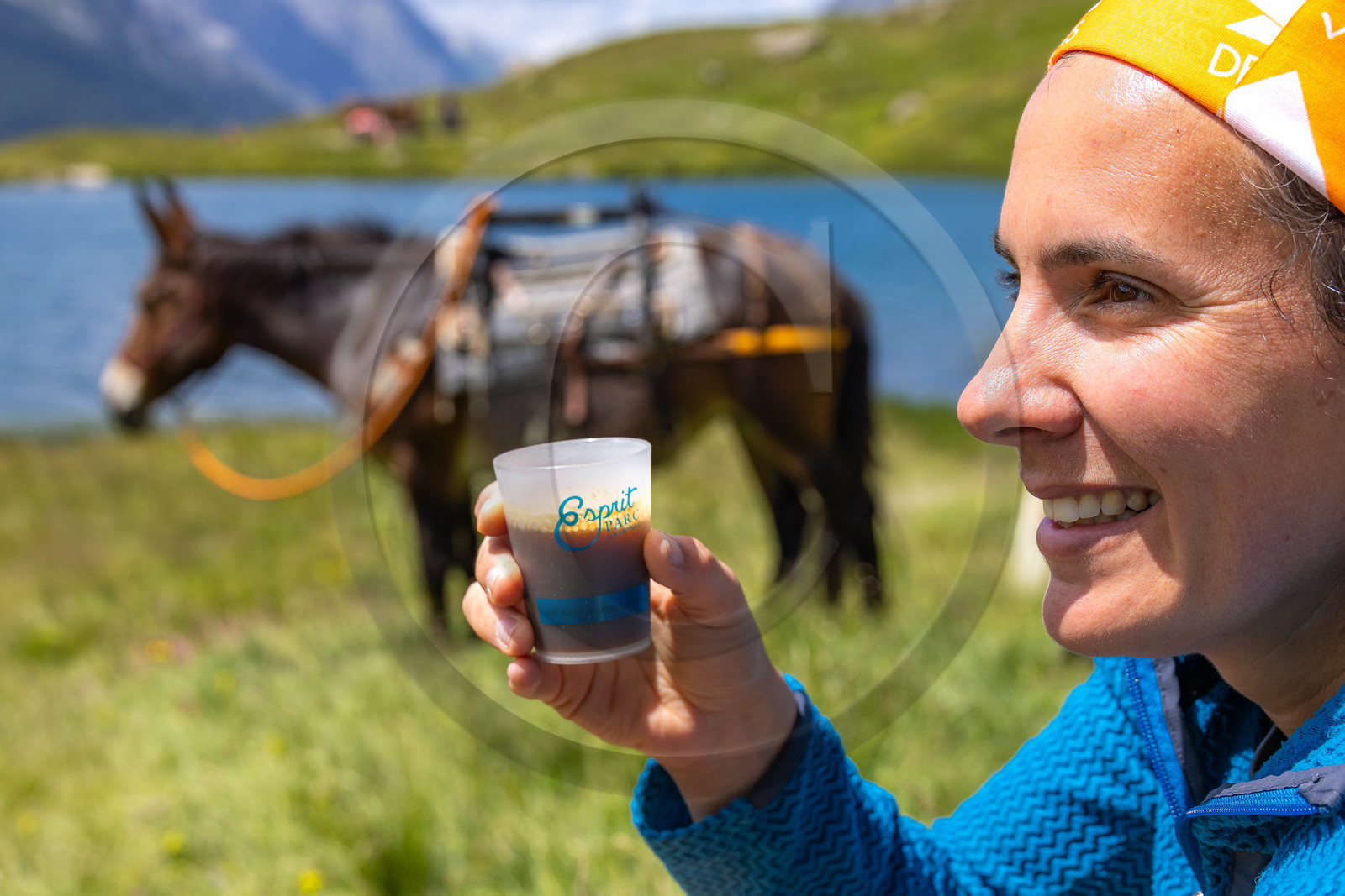 Trek famille avec animaux de bats