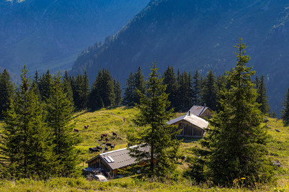 Réserve Naturelle des Contamines-Montjoie