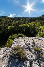 Saint-Geniez, Chardavon