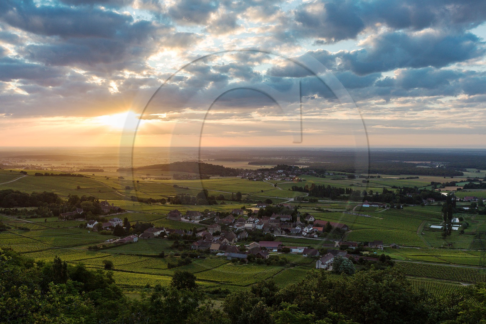 Domaine viticole Michel-Andreotti