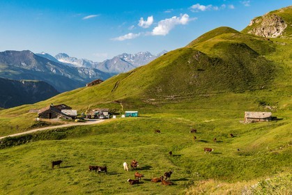 Termignon, alpage de Chavières