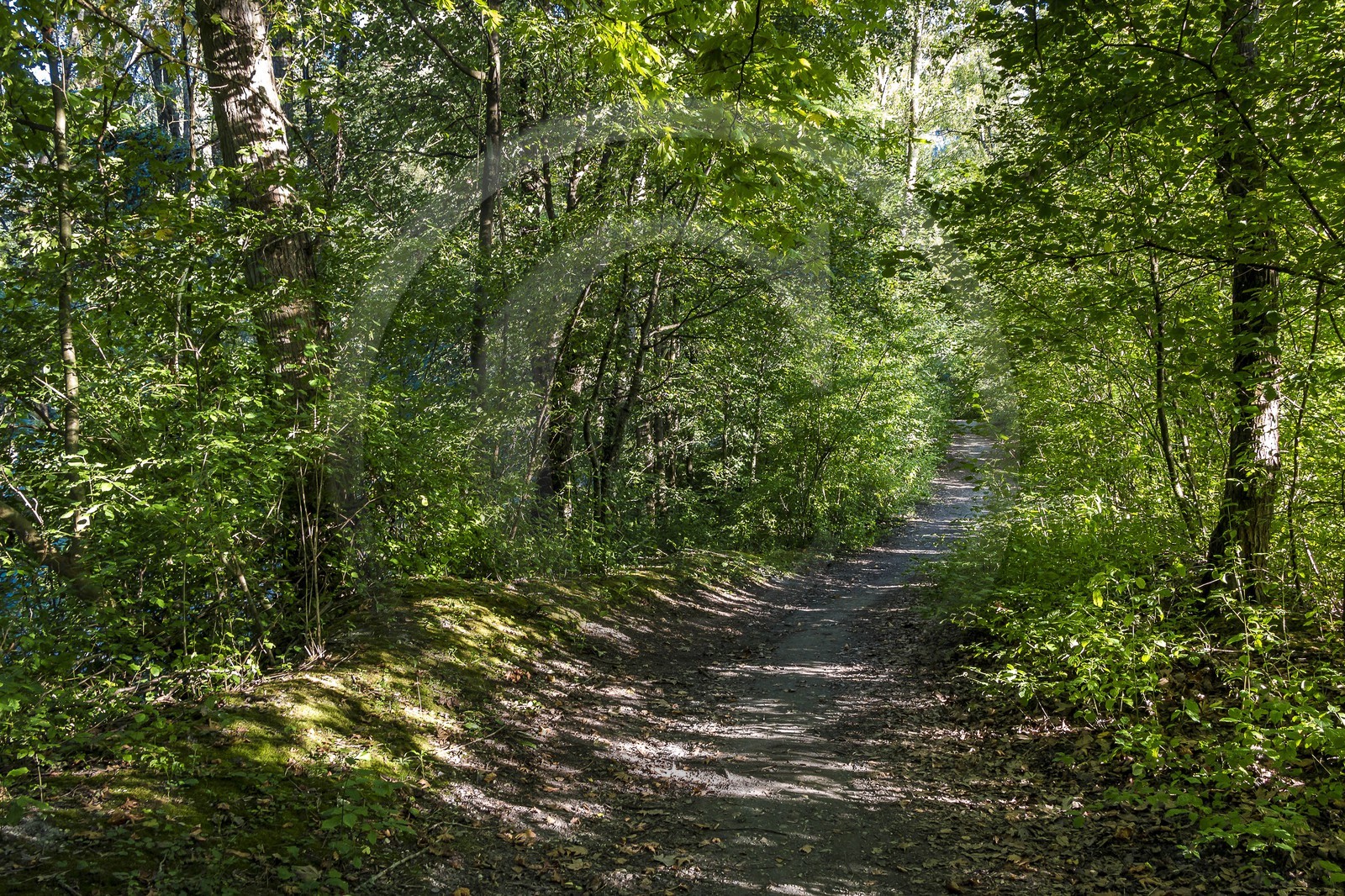 ENS de l'Isère, Boucle de la Taillat