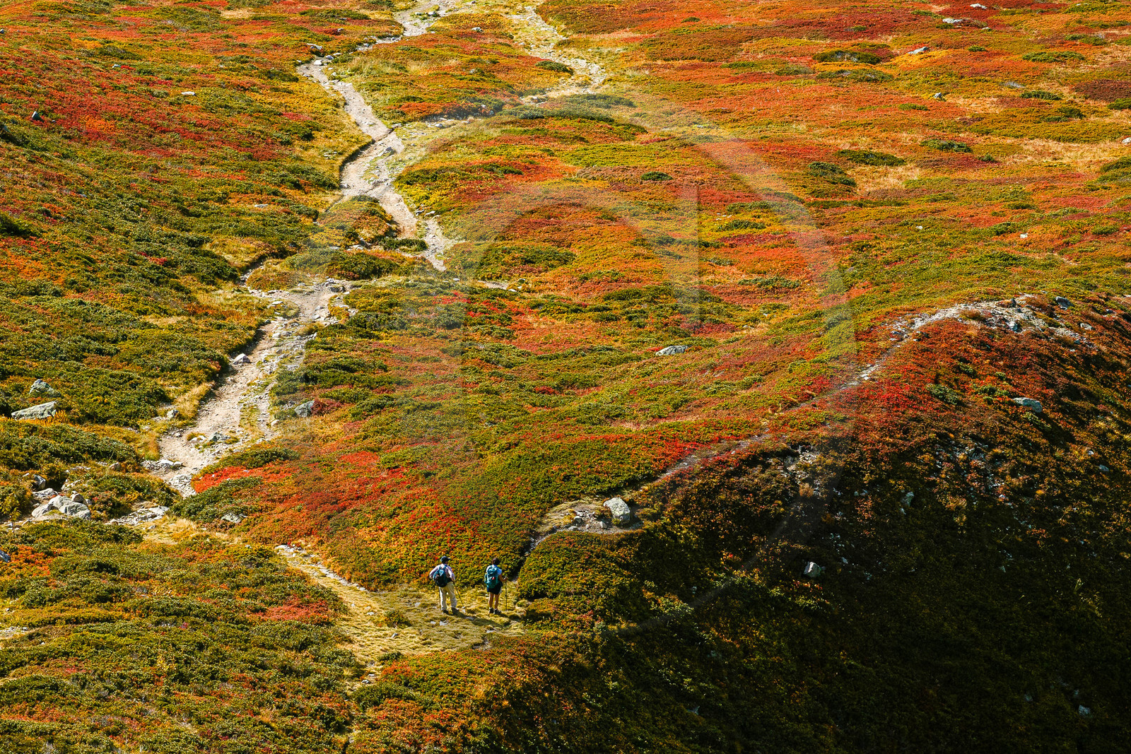 Randonnée pédestre sur le sentier des lacs Jovet