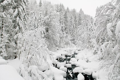 Réserve naturelle de Sixt-Passy, Le Giffre, Sixt-Fer-à-Cheval