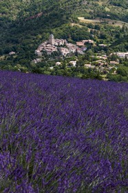 vallée des Duyes, Thoard