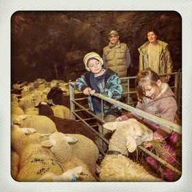 Le Desert, Christine Hustache et Yves Puissant avec leurs enfants Manon et Gaspard, éléveurs ovins