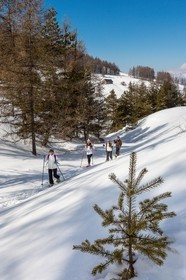 Ancelle, col de Moissière, randonnée à raquettes à neige