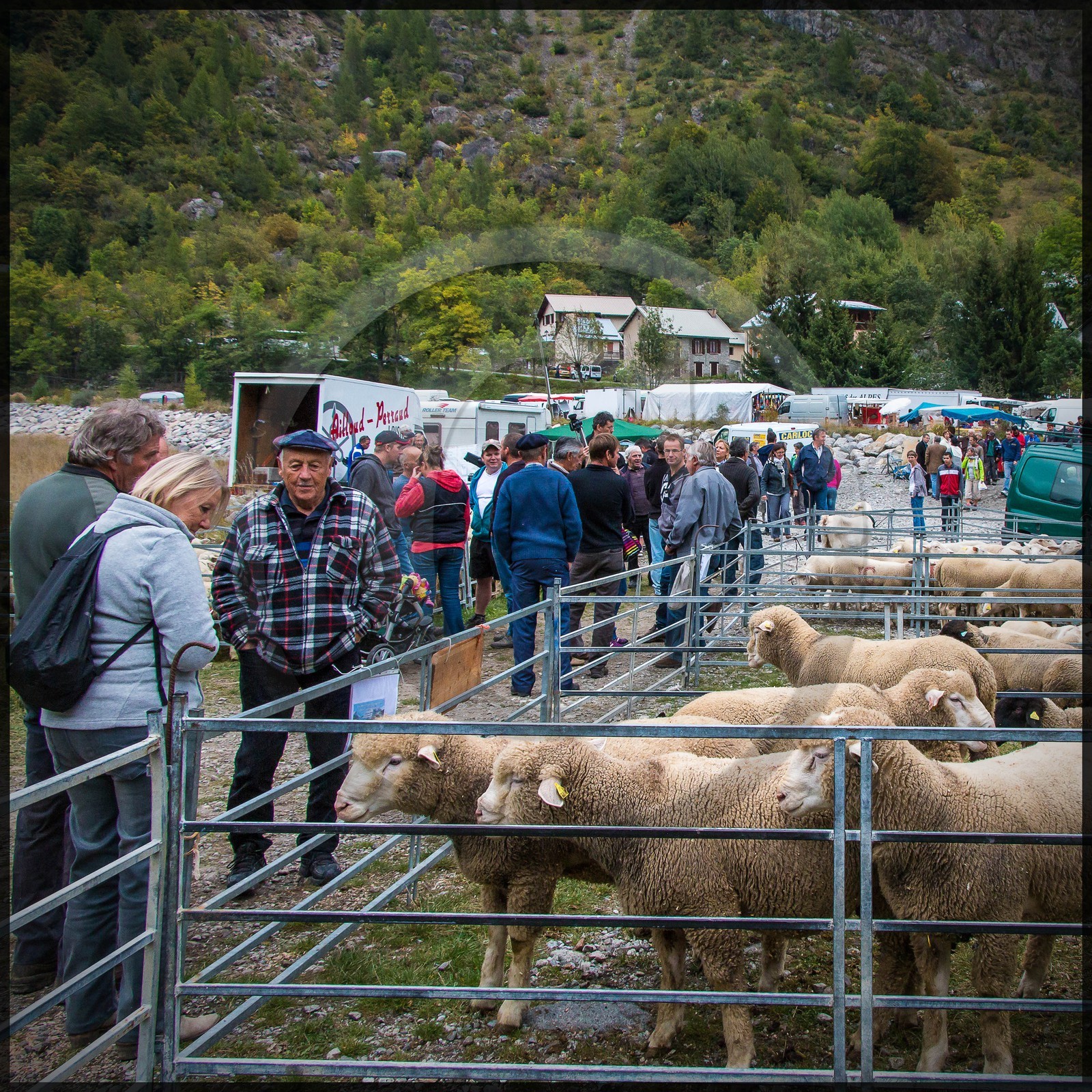 Vallée de Champoléon, Les Borels, foire au tardon