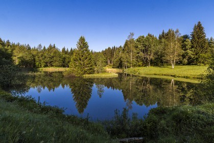 ENS de l'Isère, Marais des Seiglières