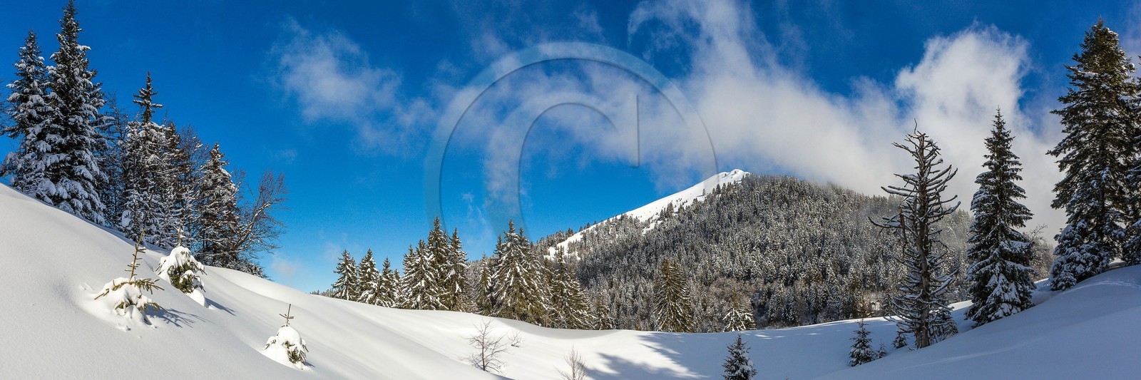 Espace naturel sensible de l'Isère, Col du Coq