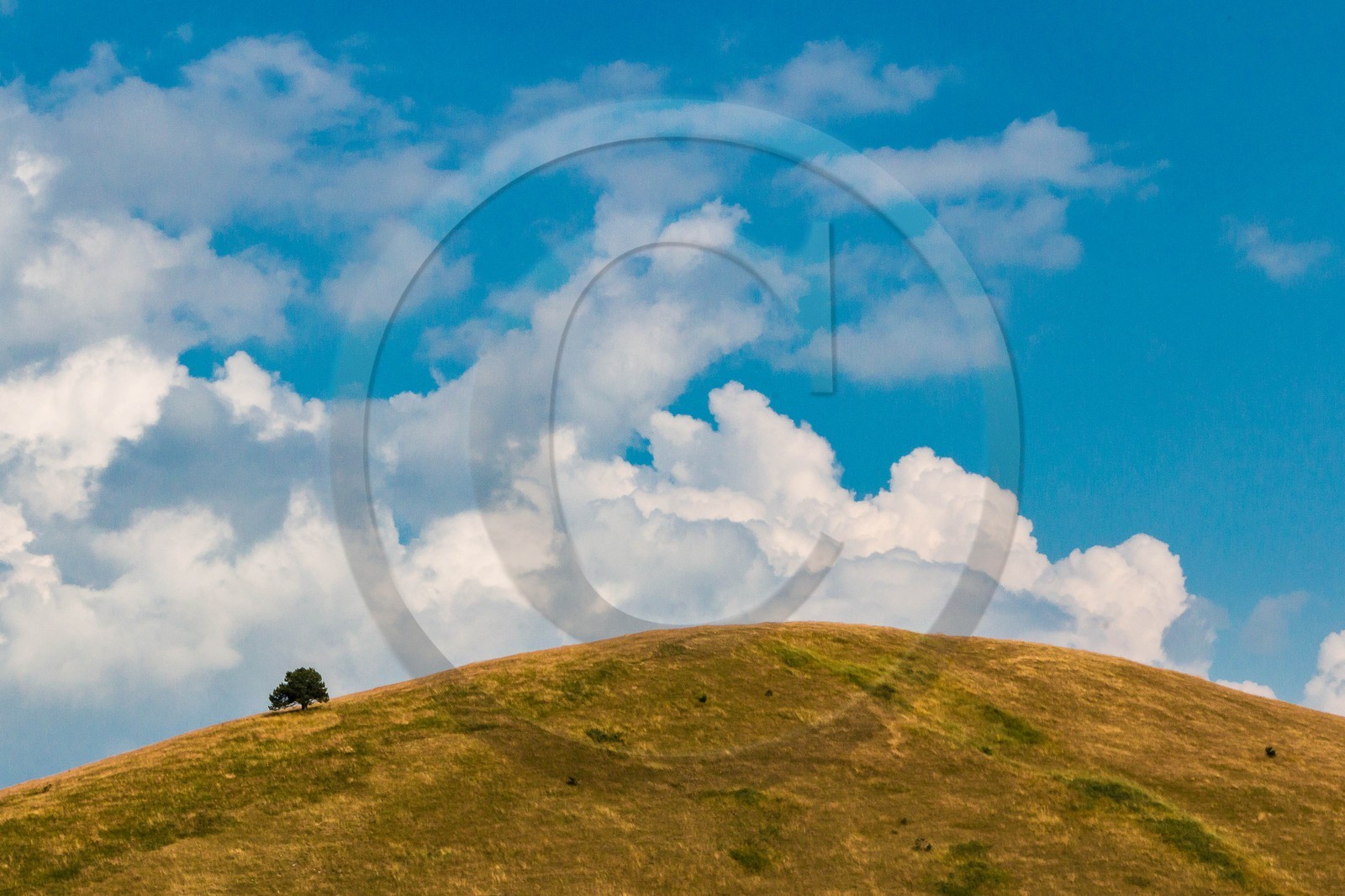 Les Monges, col de Combanière, les Aneliers