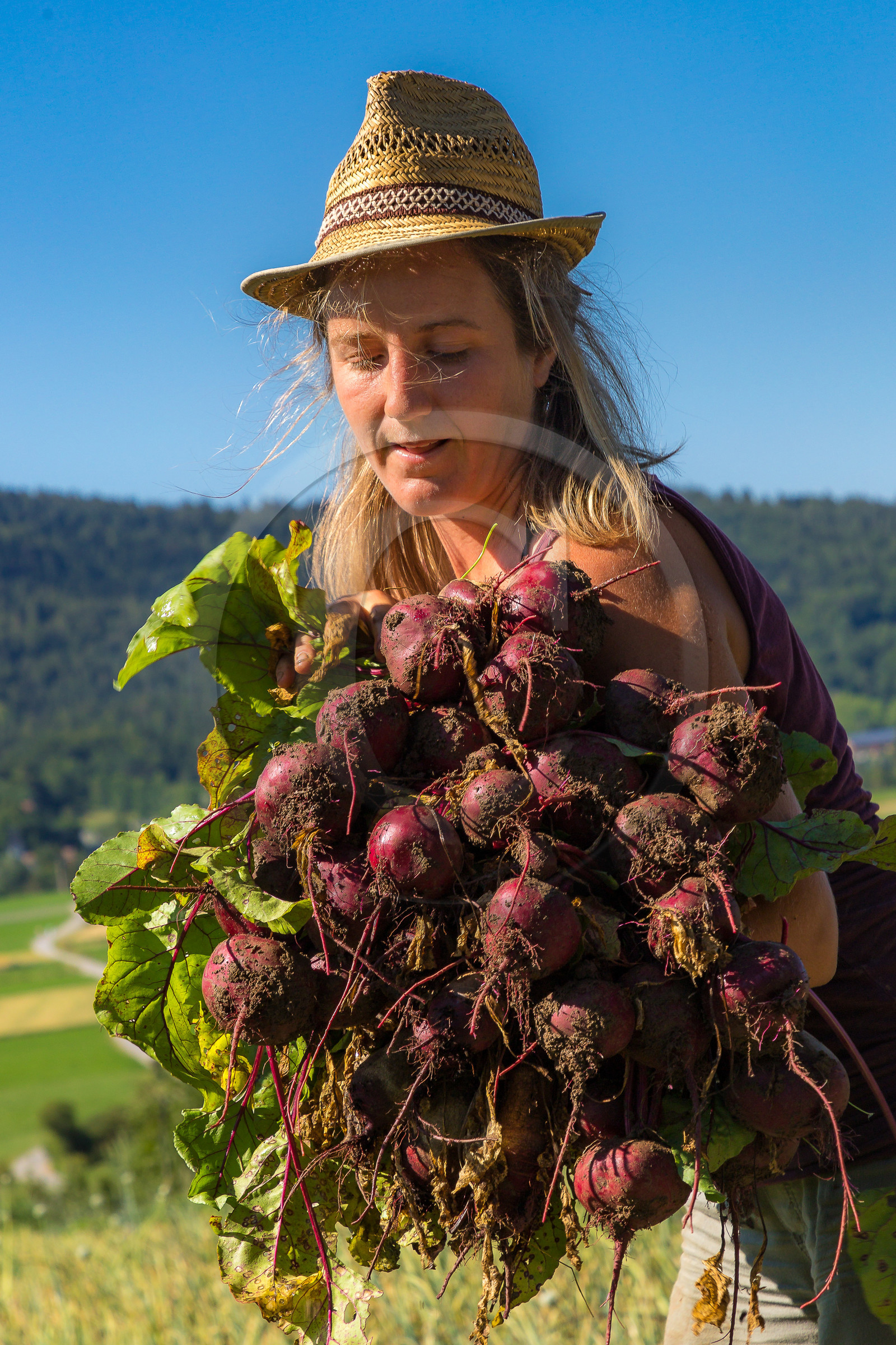 LéguMontagne,  Bertille Gieu, Maraîchère bio
