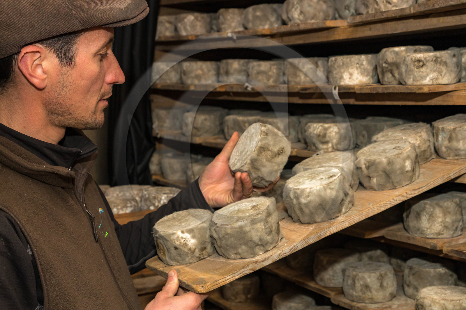 Chèvrerie de Chavières