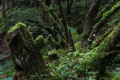 ENS de l'Isère, Les Ecouges