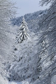 ENS de l'Isère, Les Ecouges